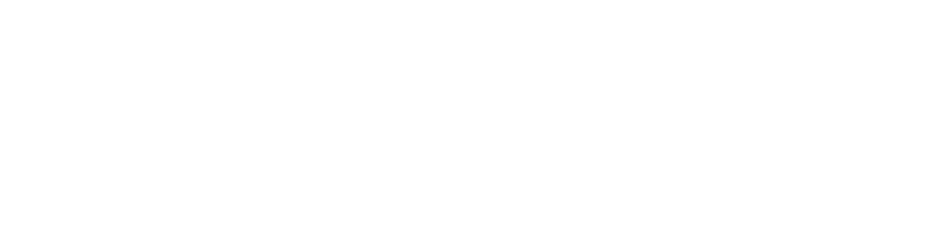 pm carpentry solutions logo upscaled white